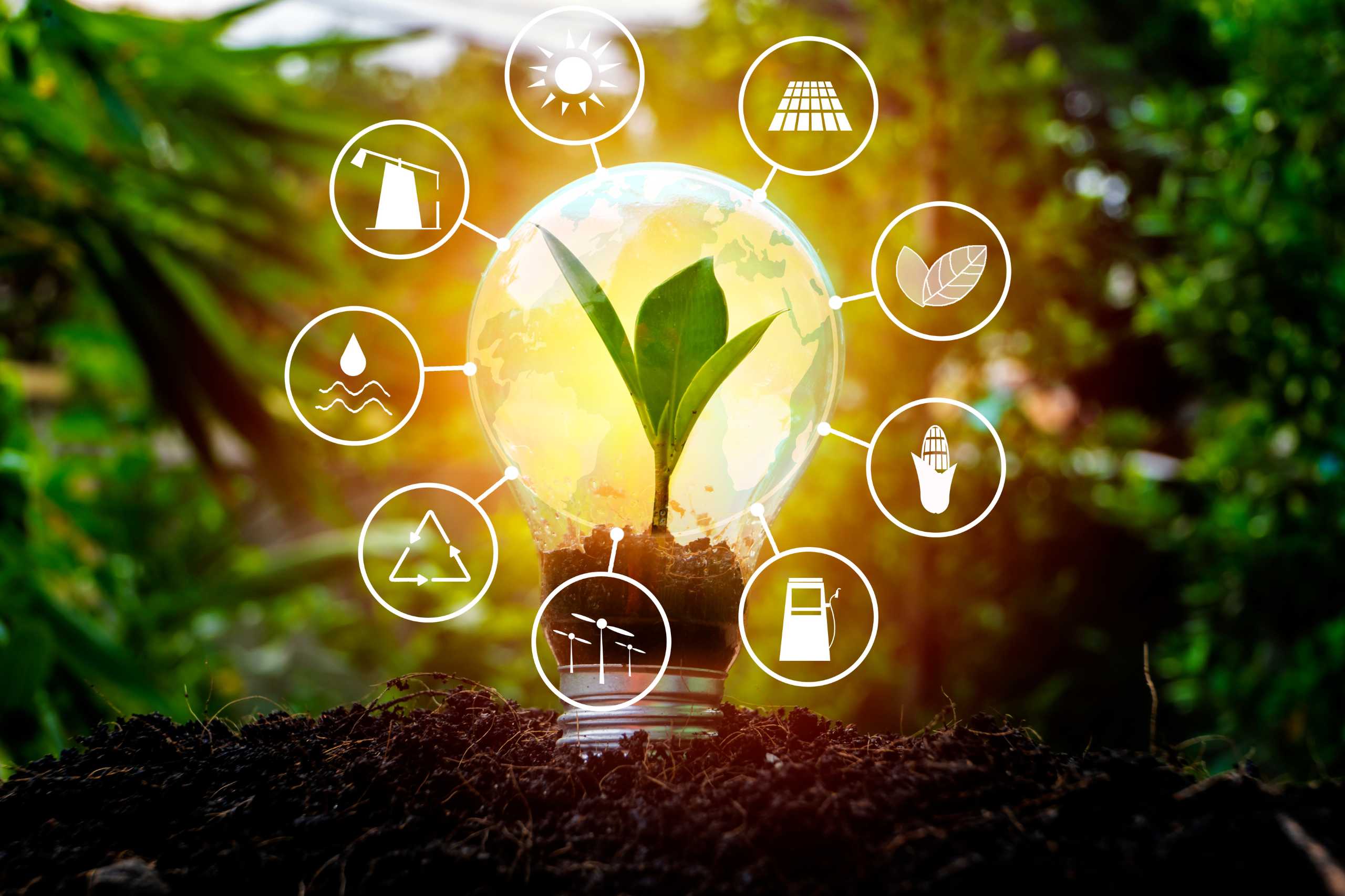 Descubre qué son las energías renovables